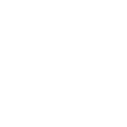 TAG Logo White